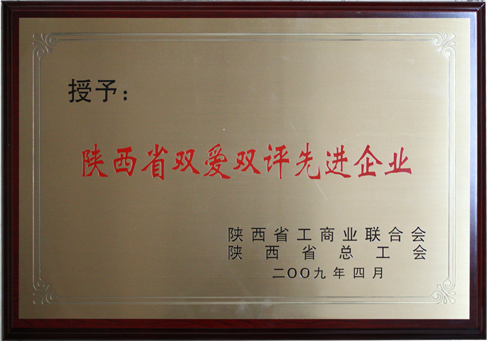 2009年陜西省雙愛雙評(píng)先進(jìn)企業(yè)
